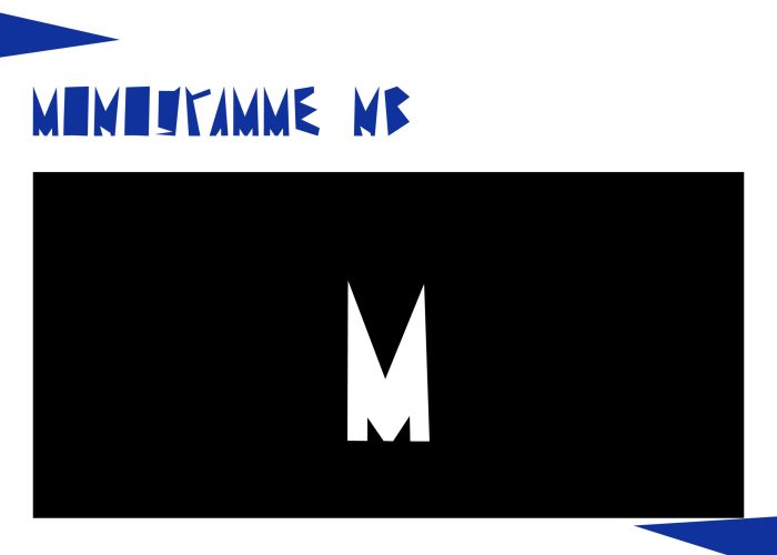 GoetghebuerLucas-T3 Charte Graphique13
